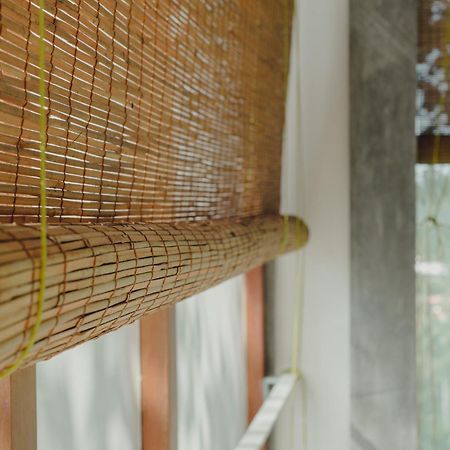 Villa Amma Erna - كالي المظهر الخارجي الصورة